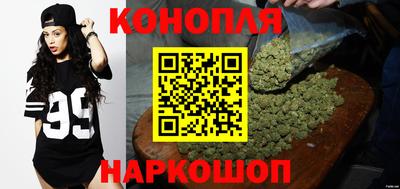 стаф Коломна