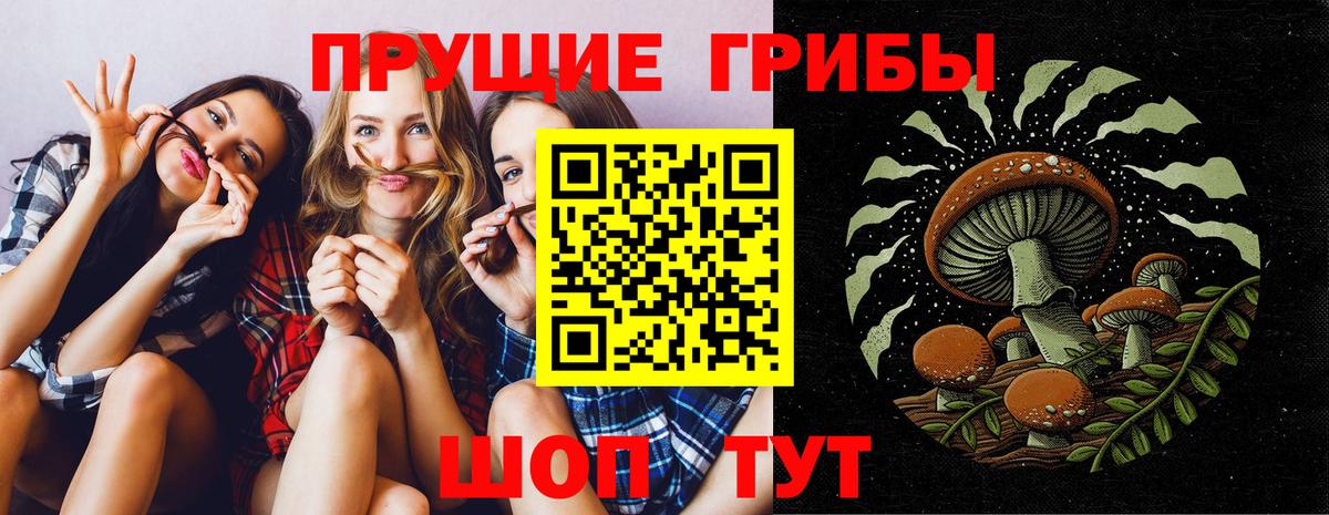 Псилоцибиновые грибы прущие грибы Россия
