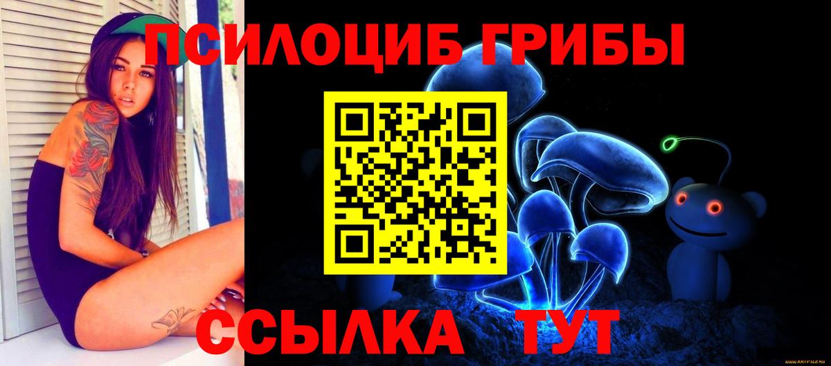 Галлюциногенные грибы MAGIC MUSHROOMS  Вход с VPN  Россия 